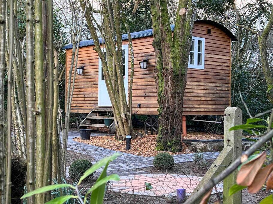 Tranquil Spot Shepherds Hut Cinderford Eksteriør bilde